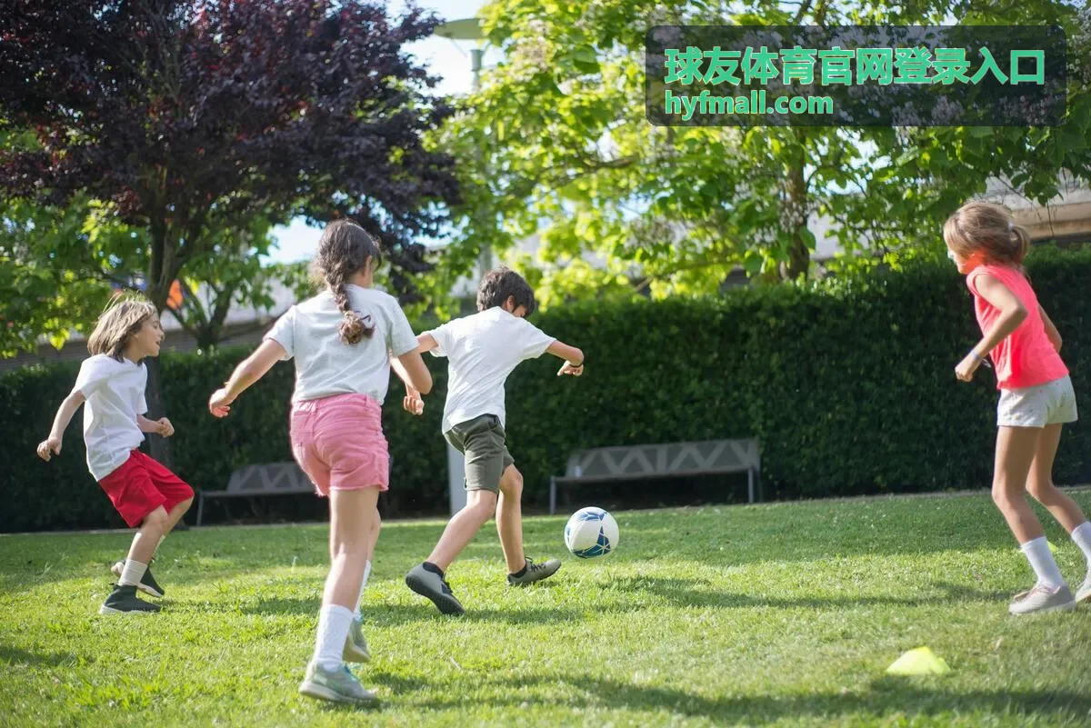 球友体育官网登录入口多设备登录状态差异示意图
